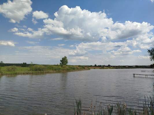 Продам участок 10 соток, ИЖС, Стремилово с, 0 км от города