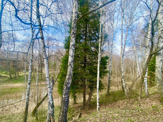 Продам участок 100 соток, ИЖС, СИЕСТА Центральная тер, 219, Вахромеево д, 0 км от города