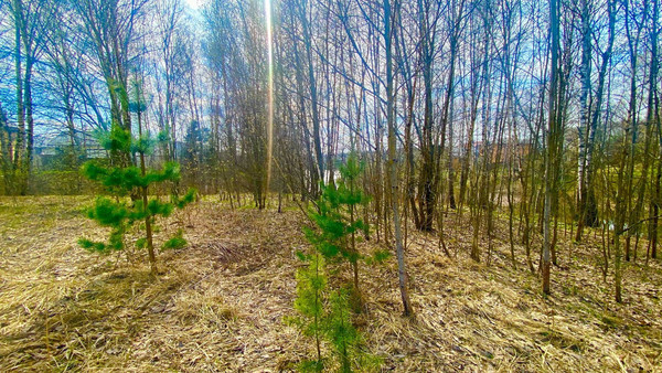 Продам участок 100 соток, ИЖС, СИЕСТА Центральная тер, 219, Вахромеево д, 0 км от города