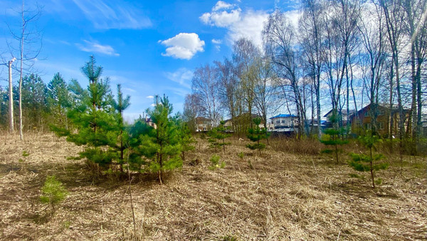 Продам участок 100 соток, ИЖС, СИЕСТА Центральная тер, 219, Вахромеево д, 0 км от города