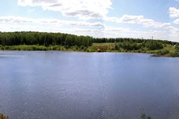 Продам участок 100 соток, ИЖС, СИЕСТА Центральная тер, 219, Вахромеево д, 0 км от города