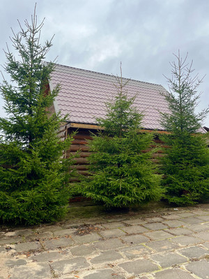 Продам дом, 114, Панино д, 0 км от города