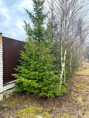 Продам дом, 114, Панино д, 0 км от города