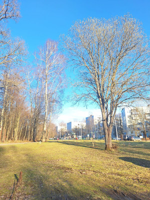 Продам однокомнатную (1-комн.) квартиру, Победы ул, 17, Чернецкое п/о