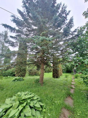 Продам дом, 122, Плужково д, 0 км от города