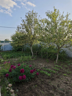 Продам дом, 546, Бавыкино д, 0 км от города