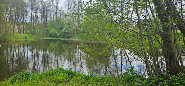 Продам дом, Коровино д, 0 км от города