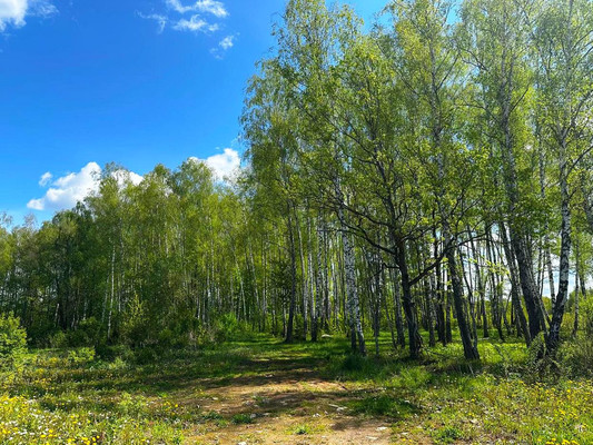 Продам землю для коммерческого использования 1 000 соток, Садоводство, Пешково с