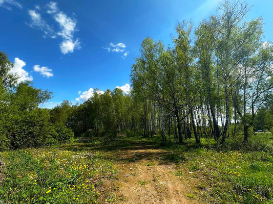 Продам землю для коммерческого использования 1 000 соток, Садоводство, Пешково с