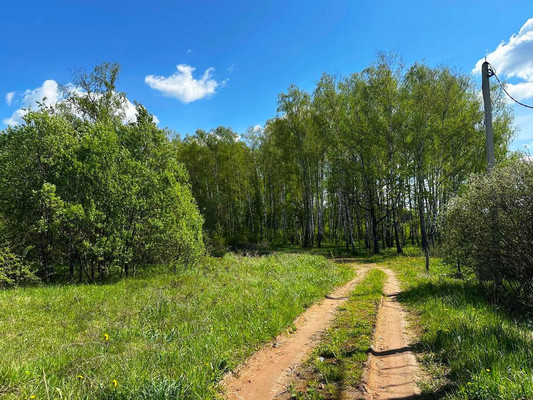 Продам землю для коммерческого использования 1 000 соток, Садоводство, Пешково с