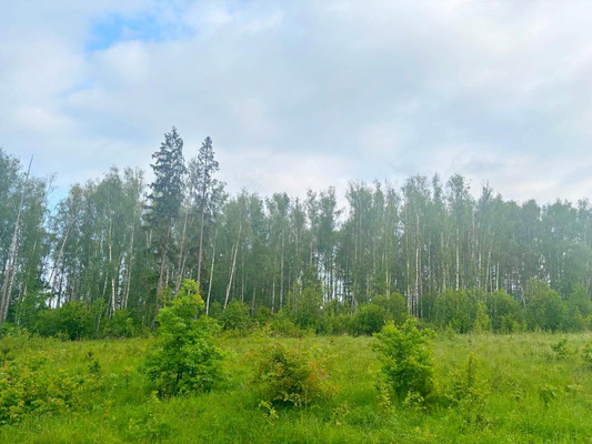 Продам землю для коммерческого использования 1 000 соток, Садоводство, Пешково с