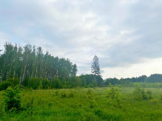 Продам землю для коммерческого использования 1 000 соток, Садоводство, Пешково с