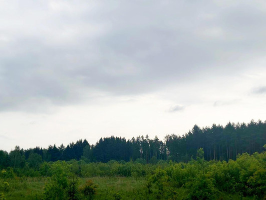 Продам землю для коммерческого использования 1 000 соток, Садоводство, Пешково с