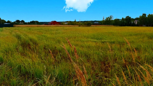 Продам участок 25 соток, ИЖС, Дубровка СХ2 тер, Дубровка д, 0 км от города