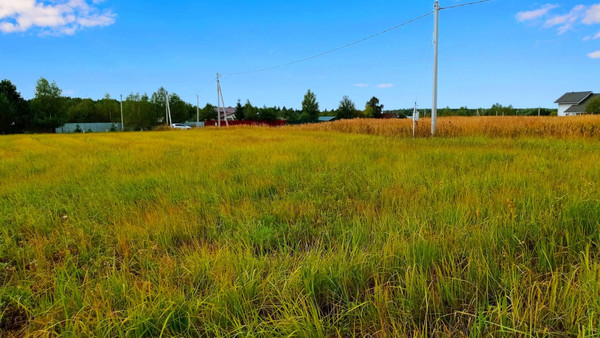 Продам участок 25 соток, ИЖС, Дубровка СХ2 тер, Дубровка д, 0 км от города