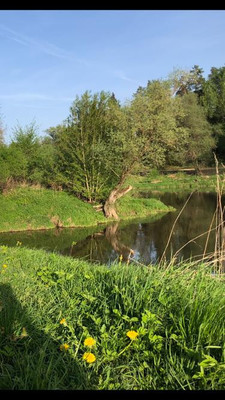 Продам участок 25 соток, ИЖС, Дубровка СХ2 тер, Дубровка д, 0 км от города