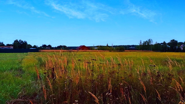 Продам участок 25 соток, ИЖС, Дубровка СХ2 тер, Дубровка д, 0 км от города