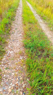 Продам участок 25 соток, ИЖС, Дубровка СХ2 тер, Дубровка д, 0 км от города