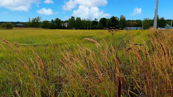 Продам участок 25 соток, ИЖС, Дубровка СХ2 тер, Дубровка д, 0 км от города