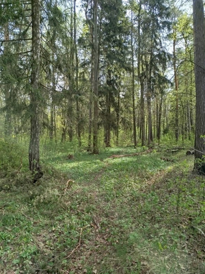 Продам участок 11,31 соток, Фермерское хоз., Райсеменовское д, 0 км от города