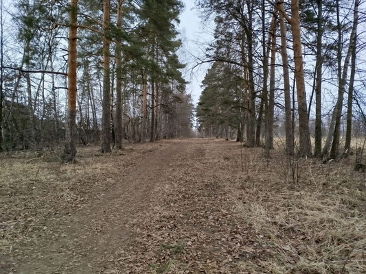 Продам участок 11,31 соток, Фермерское хоз., Райсеменовское д, 0 км от города