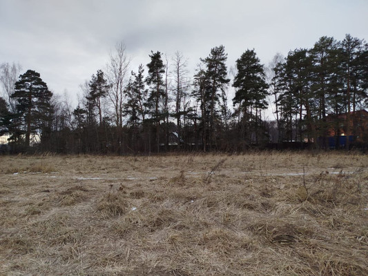 Продам участок 11,31 соток, Фермерское хоз., Райсеменовское д, 0 км от города