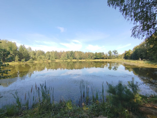 Продам участок 11,31 соток, Фермерское хоз., Райсеменовское д, 0 км от города