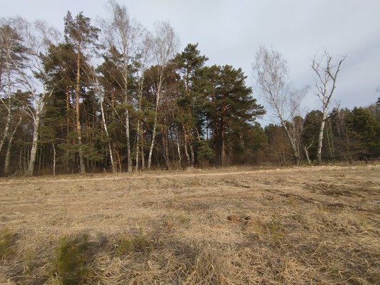 Продам участок 12 соток, Фермерское хоз., Райсеменовское д, 0 км от города