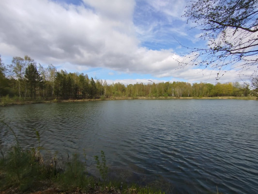 Продам участок 11 соток, Фермерское хоз., Райсеменовское д, 0 км от города