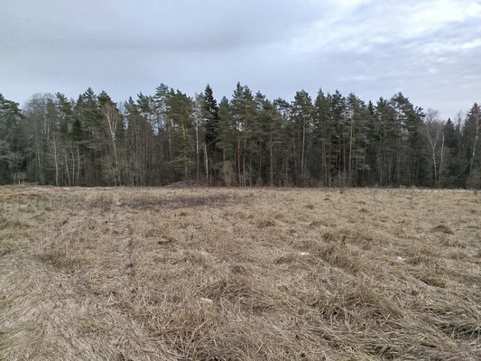 Продам участок 11 соток, Фермерское хоз., Райсеменовское д, 0 км от города