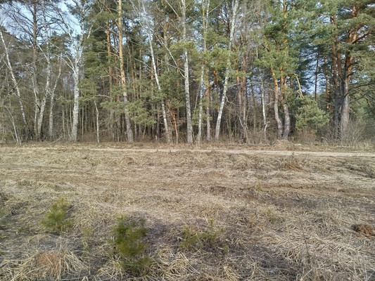 Продам участок 11 соток, Фермерское хоз., Райсеменовское д, 0 км от города