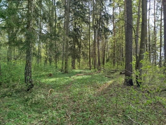 Продам участок 11 соток, Фермерское хоз., Райсеменовское д, 0 км от города