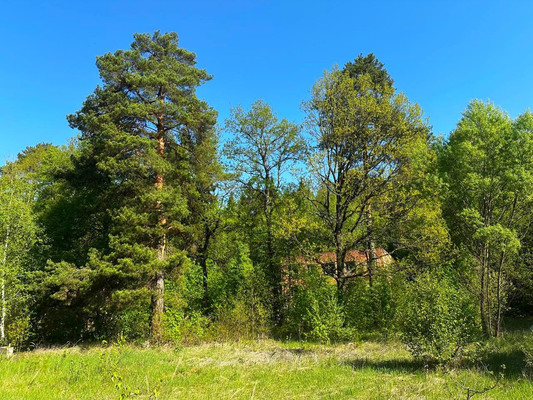 Продам землю для коммерческого использования 1 042 соток, Садоводство, 1, Попово д