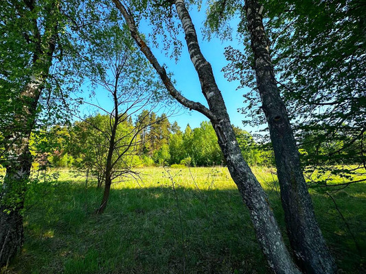 Продам землю для коммерческого использования 1 042 соток, Садоводство, 1, Попово д