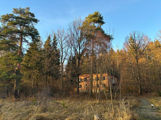 Продам землю для коммерческого использования 1 042 соток, Садоводство, 1, Попово д