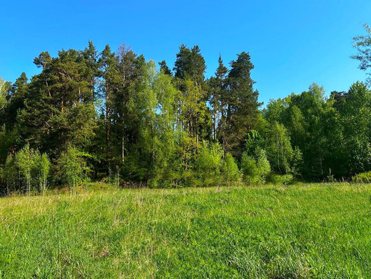 Продам землю для коммерческого использования 1 042 соток, Садоводство, 1, Попово д