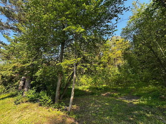 Продам землю для коммерческого использования 1 042 соток, Садоводство, 1, Попово д