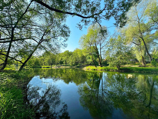Продам землю для коммерческого использования 1 042 соток, Садоводство, 1, Попово д