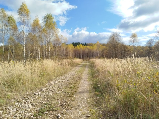 Продам участок 10,04 соток, Фермерское хоз., Берендеево снт, Сидоренки д, 0 км от города