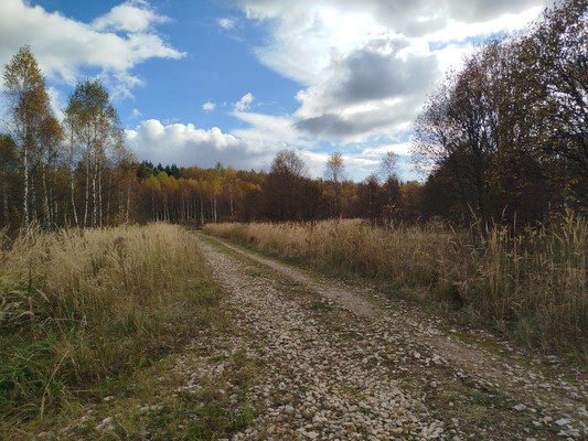 Продам участок 10,04 соток, Фермерское хоз., Берендеево снт, Сидоренки д, 0 км от города