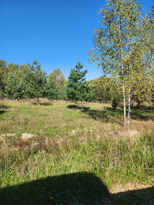 Продам участок 9,7 соток, Фермерское хоз., Берендеево снт, Сидоренки д, 0 км от города