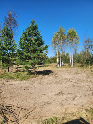 Продам участок 9,7 соток, Фермерское хоз., Берендеево снт, Сидоренки д, 0 км от города