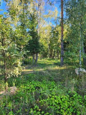 Продам участок 9,7 соток, Фермерское хоз., Берендеево снт, Сидоренки д, 0 км от города