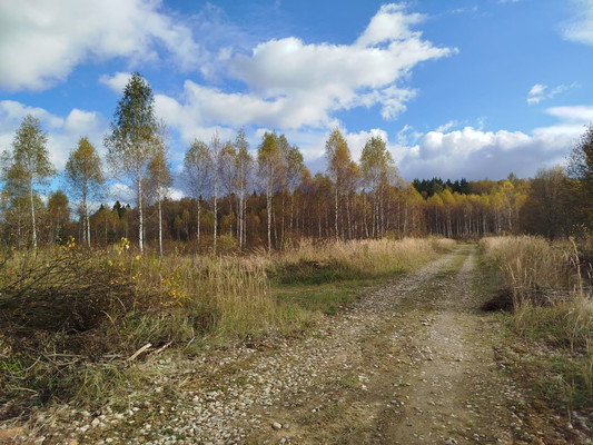 Продам участок 9,7 соток, Фермерское хоз., Берендеево снт, Сидоренки д, 0 км от города