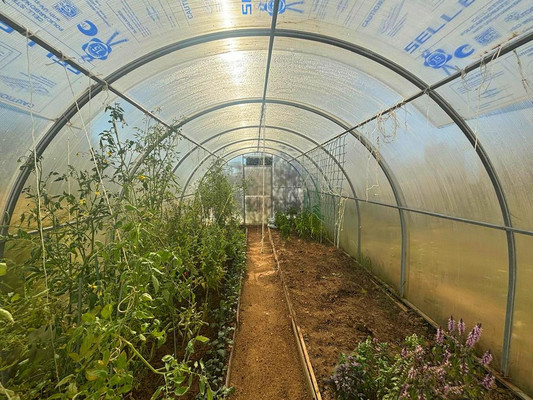 Продам дачу, Лопасня тер. СНТ, 159, Коровино д, 0 км от города