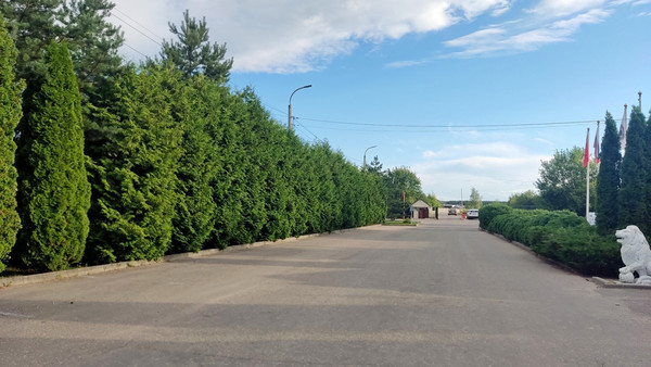 Продам дом, Сосновый Аромат тер. СНТ, 361, Васькино д, 0 км от города