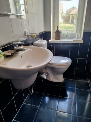 Продам дом, ТСЖ Селена тер, 22, Репниково д, 0 км от города