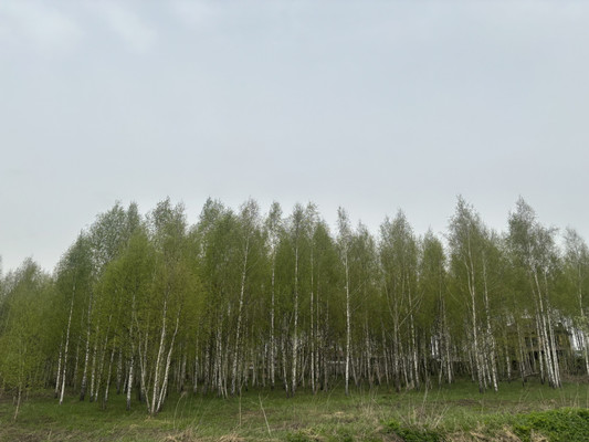 Продам дом, Жемчужная ул, Костомарово д, 0 км от города