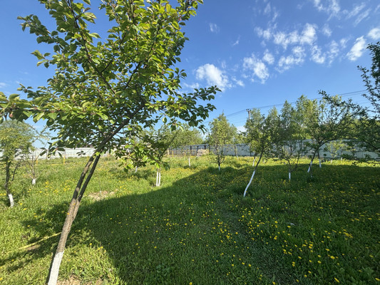 Продам дом, Туманово снт, Клейменово д, 0 км от города