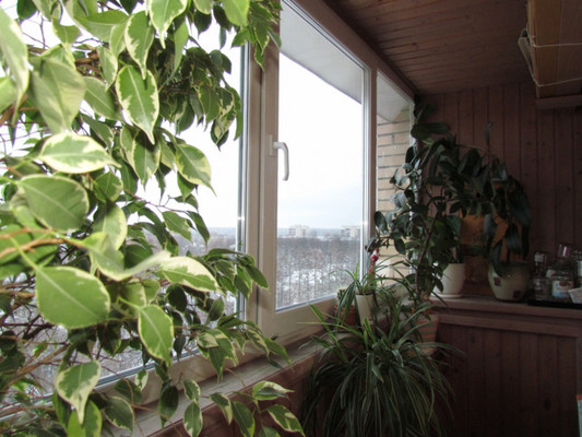 Продам трехкомнатную (3-комн.) квартиру, Восточная ул, 6, Чехов г